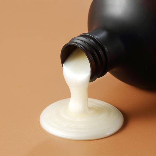 正安国货铺 老姜植萃润护洗发水 营养发丝本草护发 商品图1