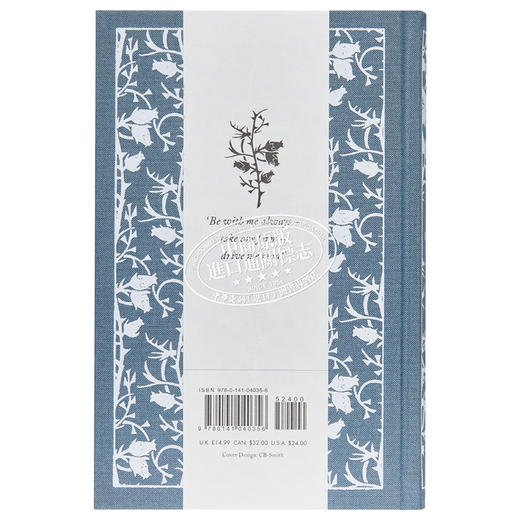 预售 【中商原版】呼啸山庄 Wuthering Heights 英文原版 Emily Bronte Lucasta 商品图1