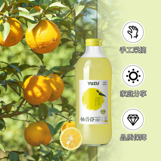 常山柚香谷双柚汁 健康0脂 商品图5