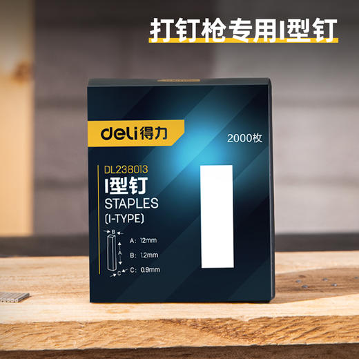 得力DL238013I型钉(银) 商品图1