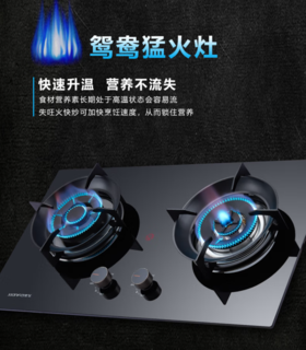 先飞（XlanFel)嵌入式家用燃气灶 纳米涂层 大火力 JZT-627D 液化气