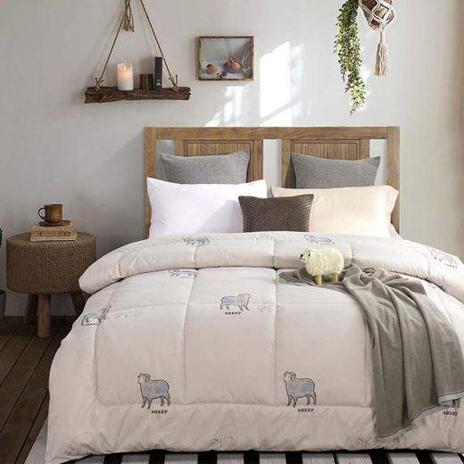 金丝莉（KINTHERI）   悠乐羊毛被 商品图1