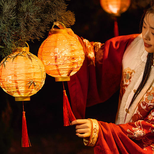 【故宫灯笼】故宫新年节日阳台灯笼挂饰元宵节装饰过年手提中国风礼物 商品图1