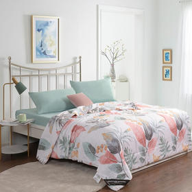 金丝莉（KINTHERI） 花香艾草被