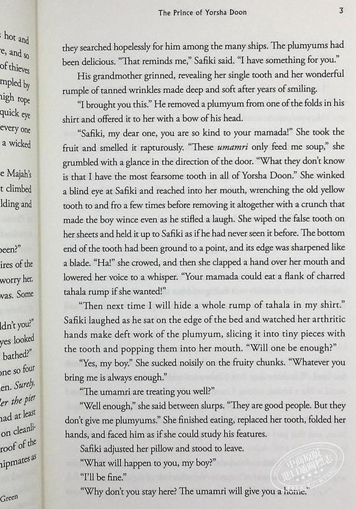 【中商原版】羽翼传奇5 英文原版 The Wingfeather Saga 5 Andrew Peterson 商品图7