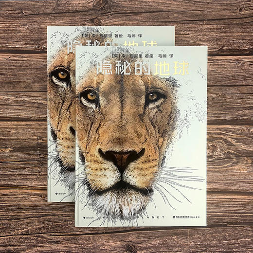隐秘的地球 商品图1