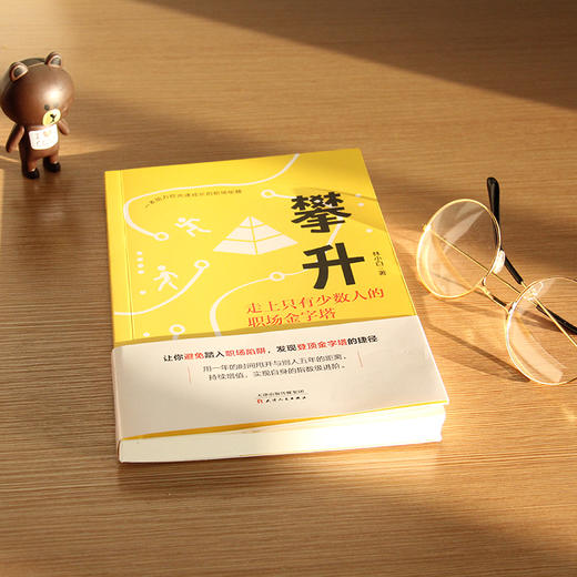 (仓发) 攀升：走上只有少数人的职场金字塔/天津人民出版社/林小白/97872011530639787201153063 商品图2