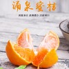 【产地直发包邮】涌泉蜜桔 商品缩略图0