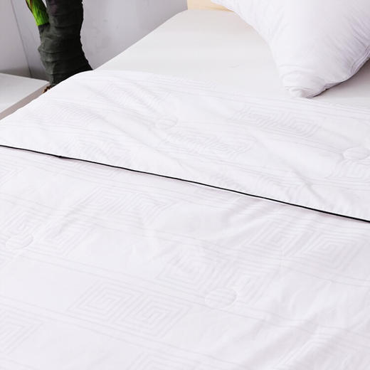 金丝莉（KINTHERI）  新雅致蚕丝被 商品图3