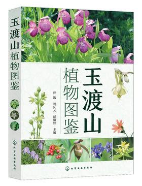 玉渡山植物图鉴