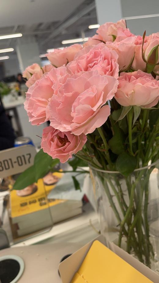 杨培测试吧啦吧啦0001 商品图0