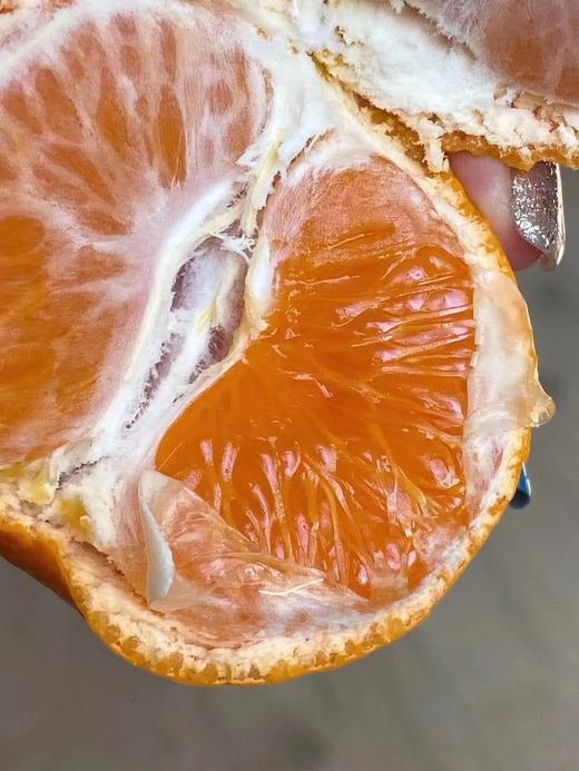 浙江临海  核心产区涌泉蜜桔  向阳坡 15年树龄  源头产地鲜采 精选果  滋味十足 商品图8