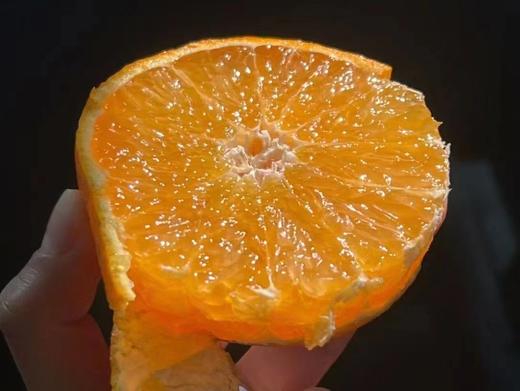 浙江临海  核心产区涌泉蜜桔  向阳坡 15年树龄  源头产地鲜采 精选果  滋味十足 商品图7