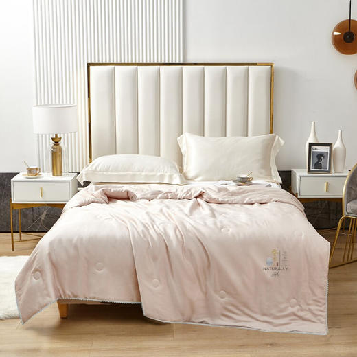 金丝莉（KINTHERI）  新疆棉桑蚕丝被 商品图3