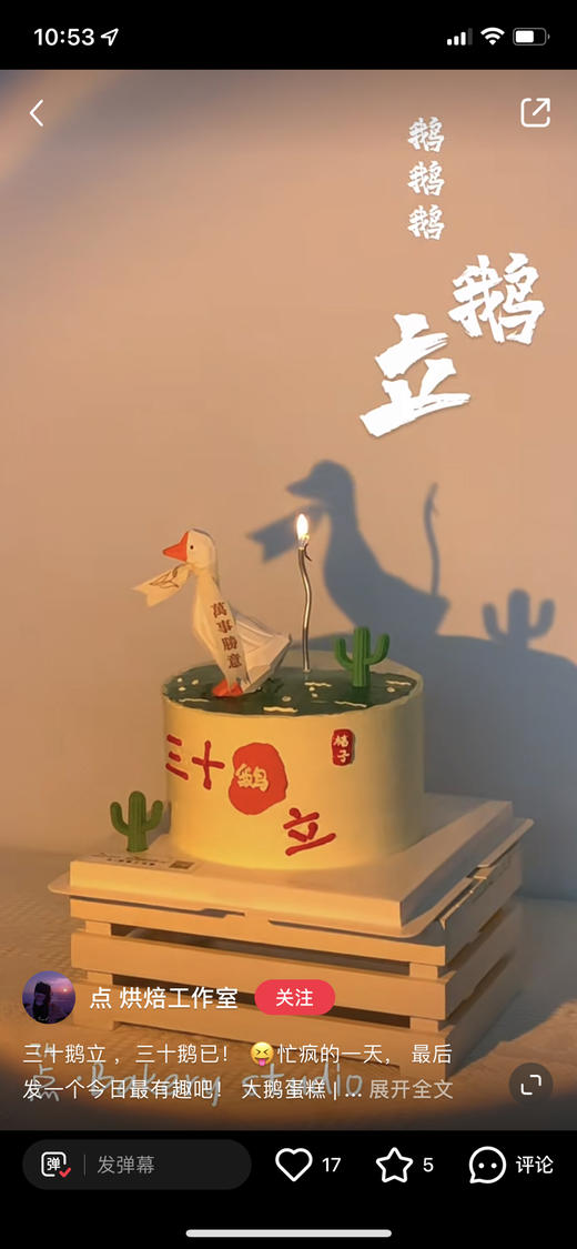 三十鹅立，万事顺意大白鹅 商品图9