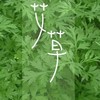 祛湿杀菌｜艾草平安皂，以艾入皂，匠心打造 借天力排热毒、湿毒的好物！ 商品缩略图3