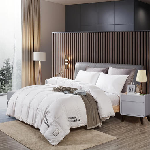 金丝莉（KINTHERI） 皇冠假日白鹅绒被  200x230cm 商品图0