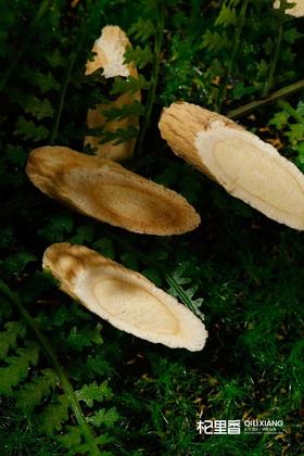 黄芪泡水喝，有这六大功效，常喝百病消！