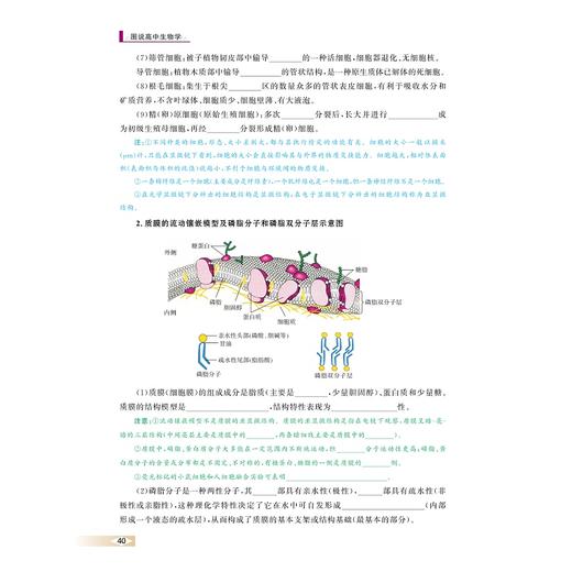 图说高中生物学/浙大理科优学/彩图版/朱鹤鸣/浙江大学出版社/附参考答案与解析/图表归纳/注说分析 商品图4