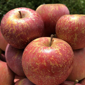 昭通苹果 5000g/份