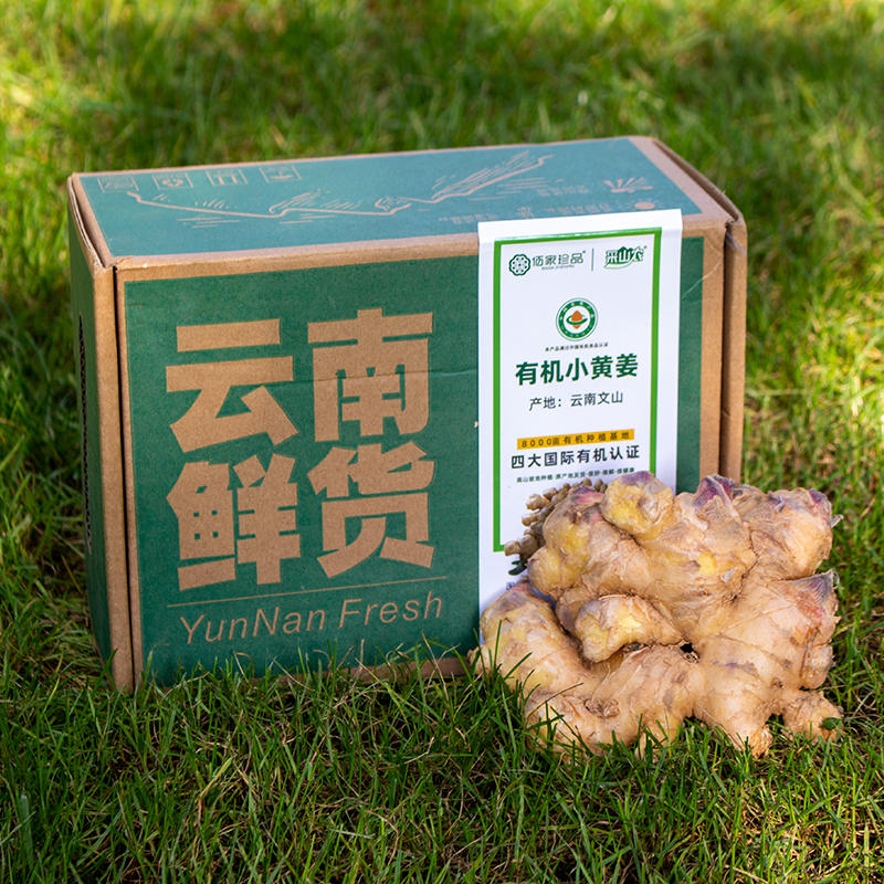 【2026新鲜有机小黄姜清洗级别】云南有机认证鲜姜小黄姜，辛辣爽口，姜香浓郁【基地直邮】