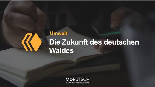 43.【环境】德国森林的未来（MP3） 商品图0