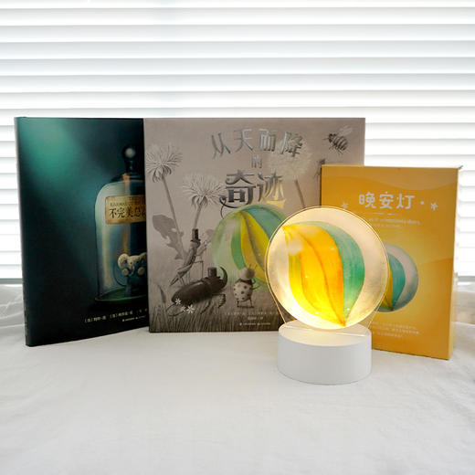 范氏兄弟《从天而降的奇迹+不完美总动员》2册套装+赠品晚安灯 商品图5