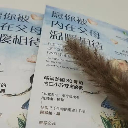 (仓发) 愿你被内在父母温暖相待：内在小孩艺术疗愈指南/机械工业出版社/[美]露西娅·卡帕基奥内（Lucia,Capacchione）/9787111695448 商品图2