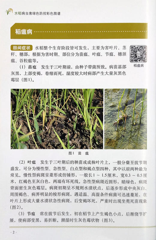 水稻病虫害绿色防控彩色图谱【园艺学会】 商品图3