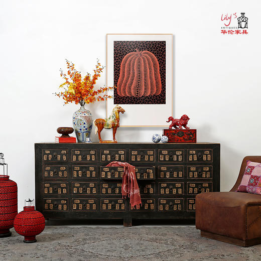 中药柜实木家用柜药店中医药斗柜中式药材展柜储物柜客厅边柜 商品图0