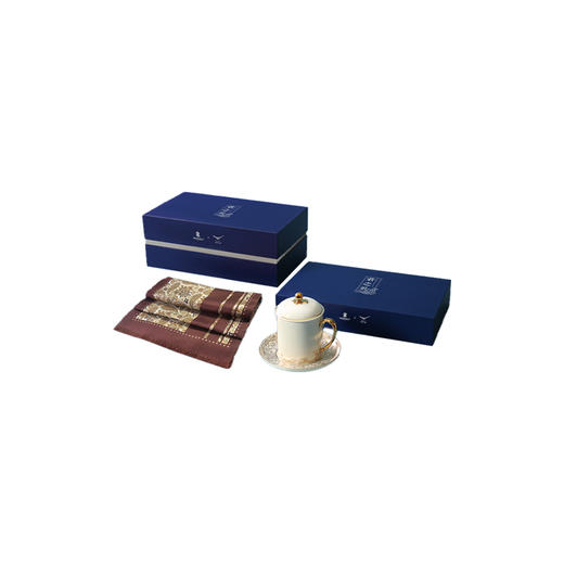 WENSLI/万事利 君之礼-龙吟套装（真丝长巾） 商品图0