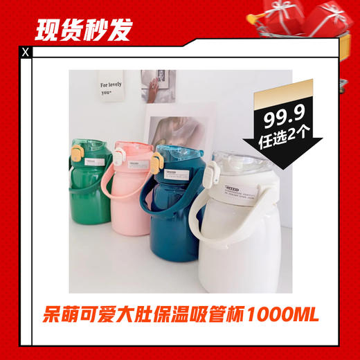 【现货秒发】【99.9任选2】呆萌可爱大肚保温吸管杯 1000ML~ 商品图0