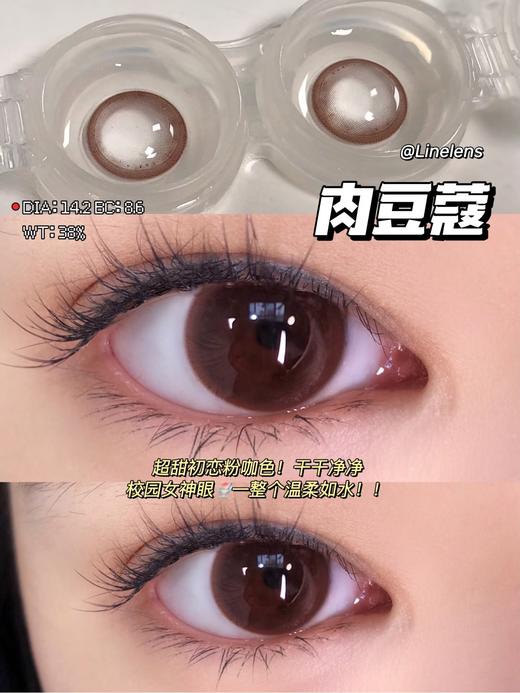 Linelens优质国货品牌半年抛-肉豆蔻 商品图3