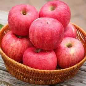 洛川富士5.99元一斤
（20元一份）（整个出售，多退少补）