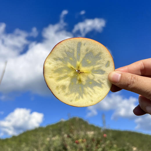 【高原太阳斑糖心苹果 】脆甜多汁 果味浓郁/生态种植不套袋不打蜡 糖心率80% 现摘现发 顺丰包邮 商品图3