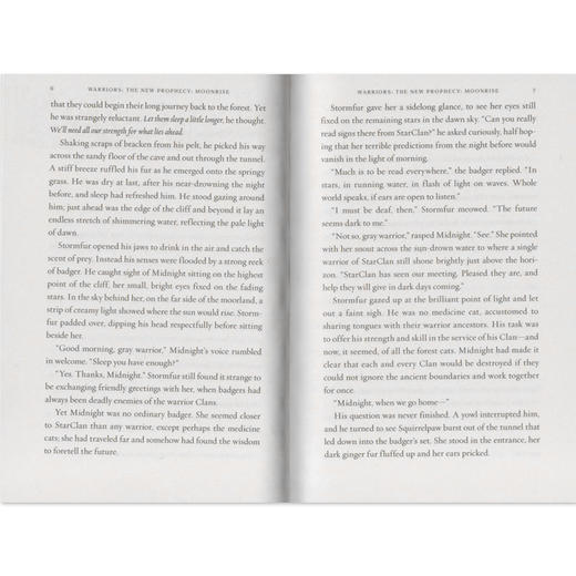 英文小说 猫武士 二部曲：新预言 Warriors: The New Prophecy Box 章节桥梁书 传奇的猫族 儿童成长励志奇幻小说 商品图3