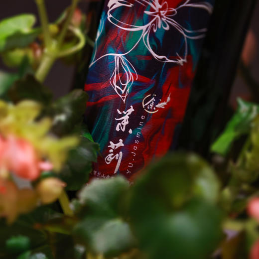 蓝赛酒庄茉莉赤霞珠红葡萄酒（2017） 商品图3