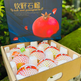 四川精品突尼斯软籽石榴