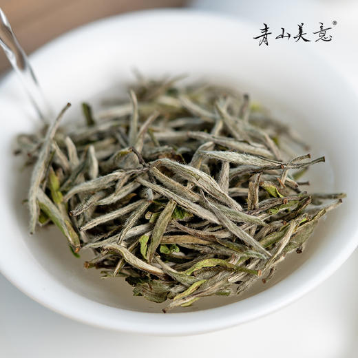 方守龙 2021年白毫银针太姥山核心产区福鼎白茶[官方旗舰店正品直供] 商品图1