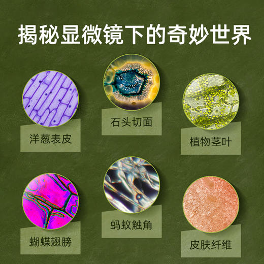 儿童显微镜小学初中生专用高清便携式科学实验套装男女孩礼物玩具 商品图3