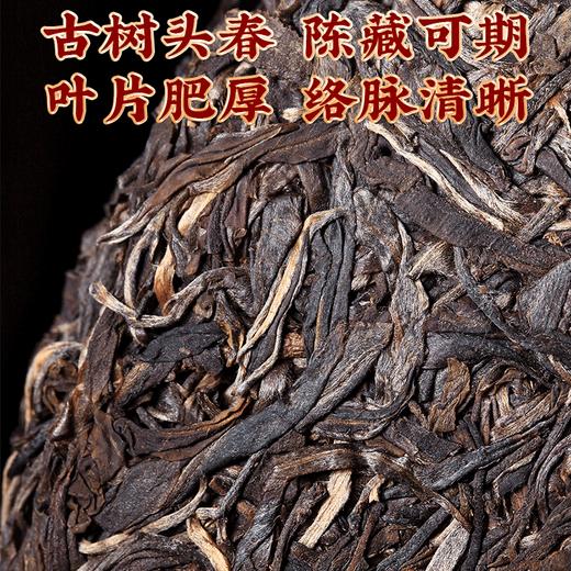 2022年春茶 冰岛地界古树醇料茶普洱生茶饼357g/饼 商品图1