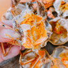 线上到家【鲜活直供】江苏洪泽湖精品大闸蟹（3-4.5两）3对/4对/5对 商品缩略图3
