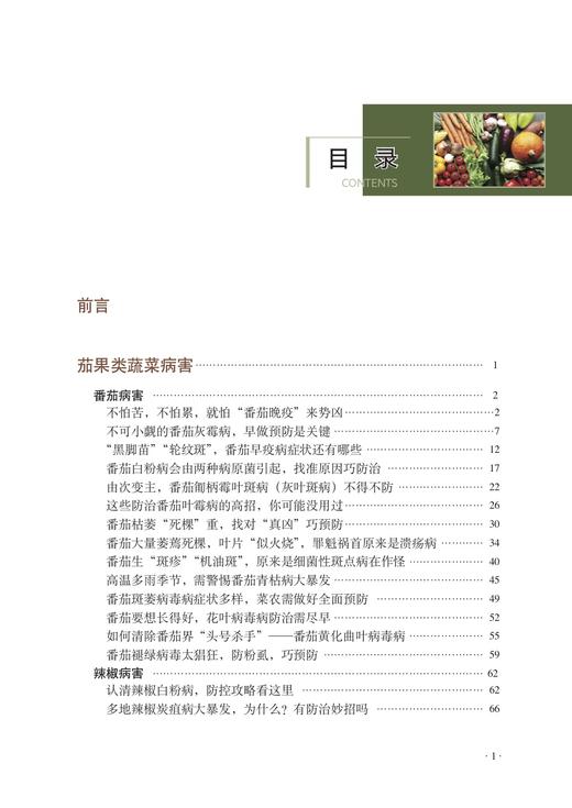 蔬菜病害诊断手记 第2版 9787109274952 蔬菜 病害 诊断手记 蔬菜病害 青菜 叶菜 商品图1
