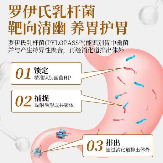 Norvikon清幽片，美国进口，幽螺克星，保护肠胃，满口清香，60粒/瓶 商品图2