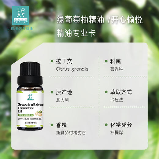 葡萄柚单方精油10ml 意大利原产 开心愉悦 面部脸部清洁按摩 芸香果皮类精油 天然植物香薰 商品图0