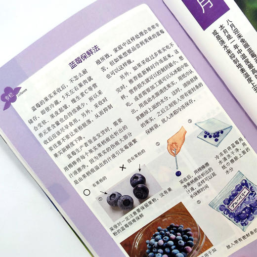 图说蓝莓整形修剪与12月栽培管理【中国农业出版社官方正版】 商品图3