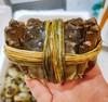 线上到家【鲜活直供】江苏洪泽湖精品大闸蟹（3-4.5两）3对/4对/5对 商品缩略图4