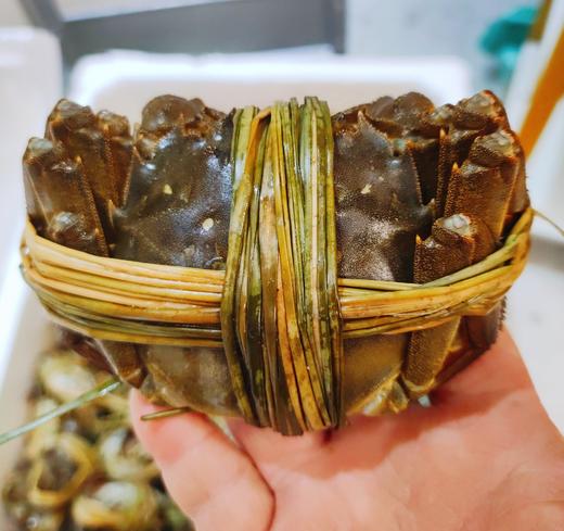 线上到家【鲜活直供】江苏洪泽湖精品大闸蟹（3-4.5两）3对/4对/5对 商品图4