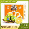 【一级】实建褚橙一级5kg/件 商品缩略图0