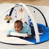 SkipHop宝宝益智游戏垫婴儿爬行垫家用玩具新生儿游戏毯婴儿地垫玩具礼物 商品缩略图2